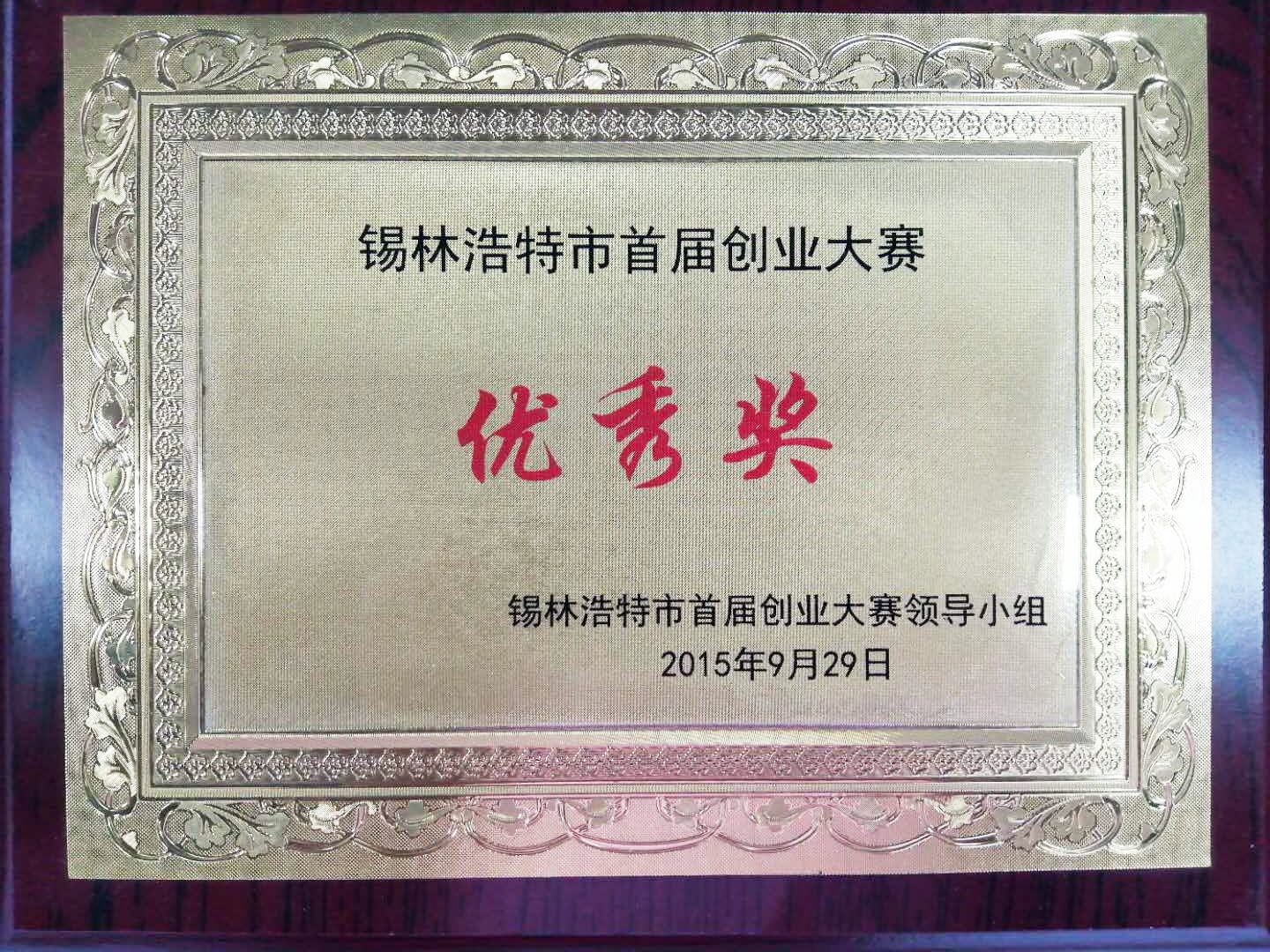 首屆創(chuàng)業(yè)大賽優(yōu)秀獎(jiǎng).jpg